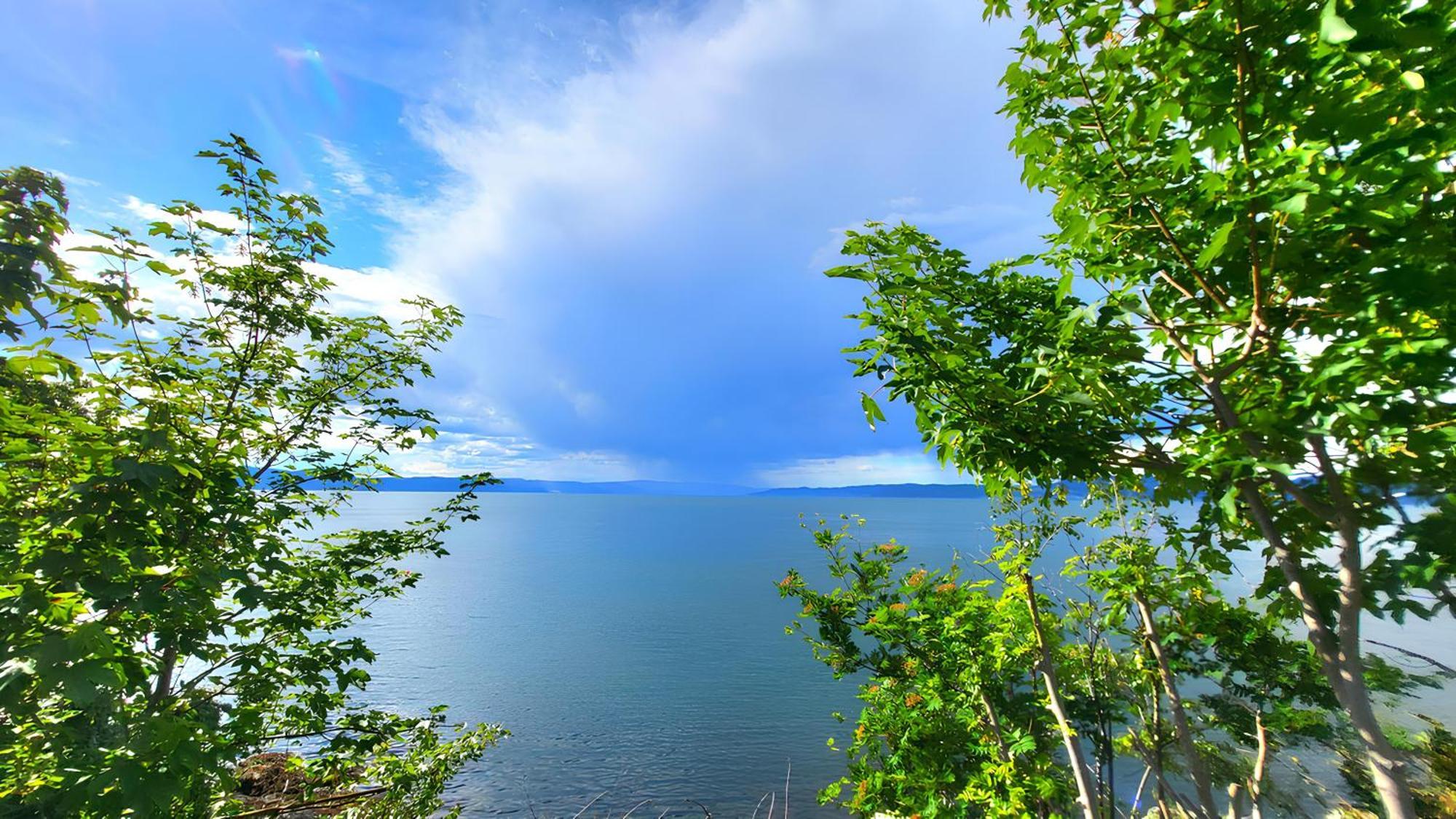 Villaer Ocean Side House, Sea View, Free Parking ! Trondheim